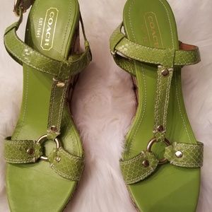 Coach Shoes ..Fabulous..